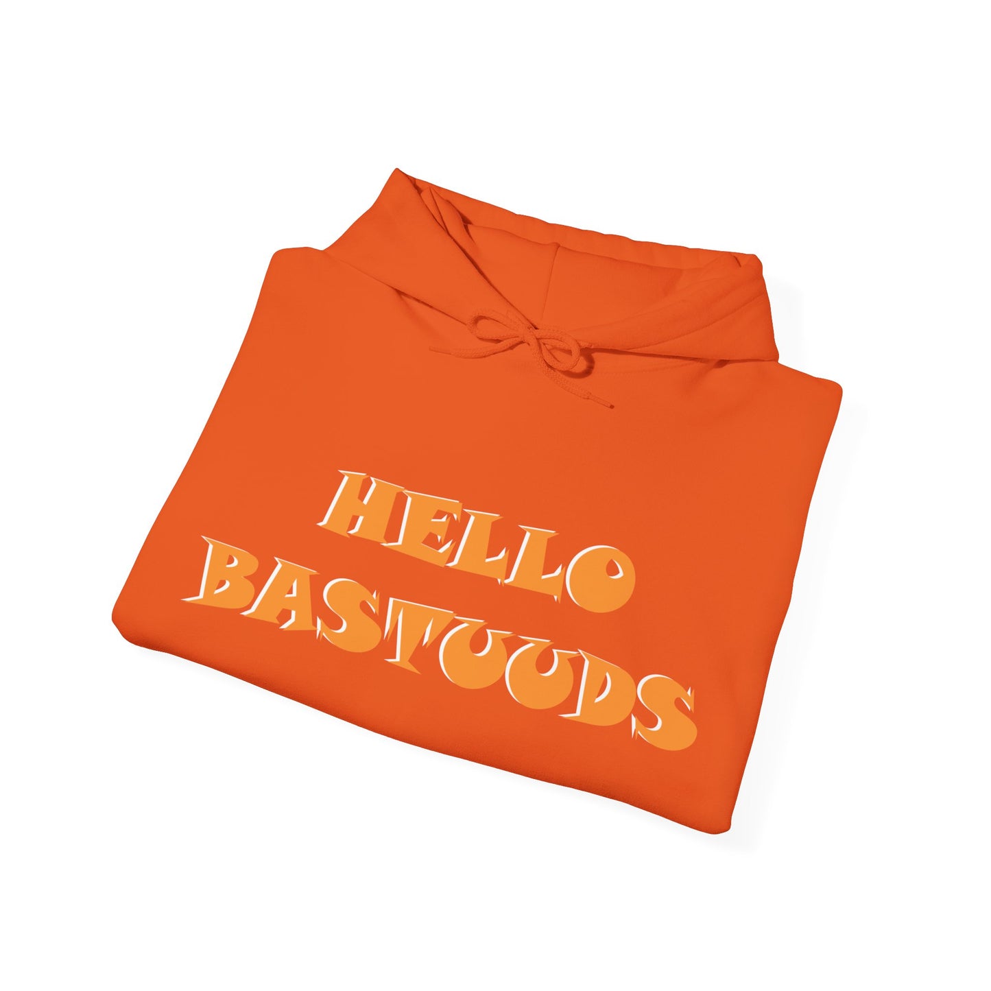 Yorkshire Indian Hello Bastuuds Hoodie