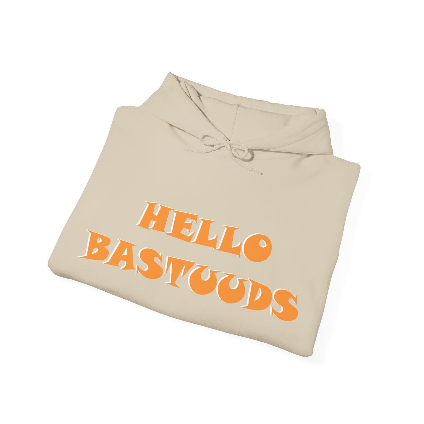 Yorkshire Indian Hello Bastuuds Hoodie